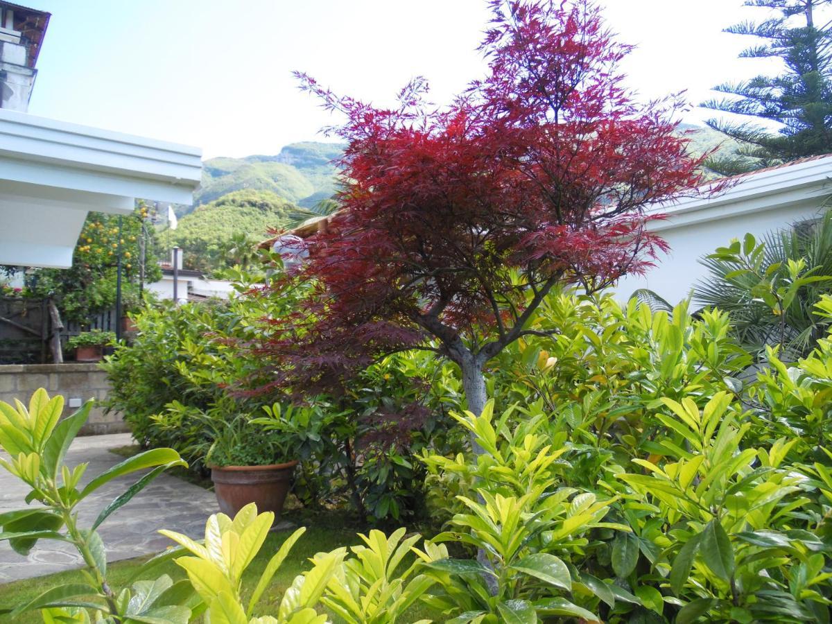 Villa Bianca Castellammare di Stabia Exteriör bild