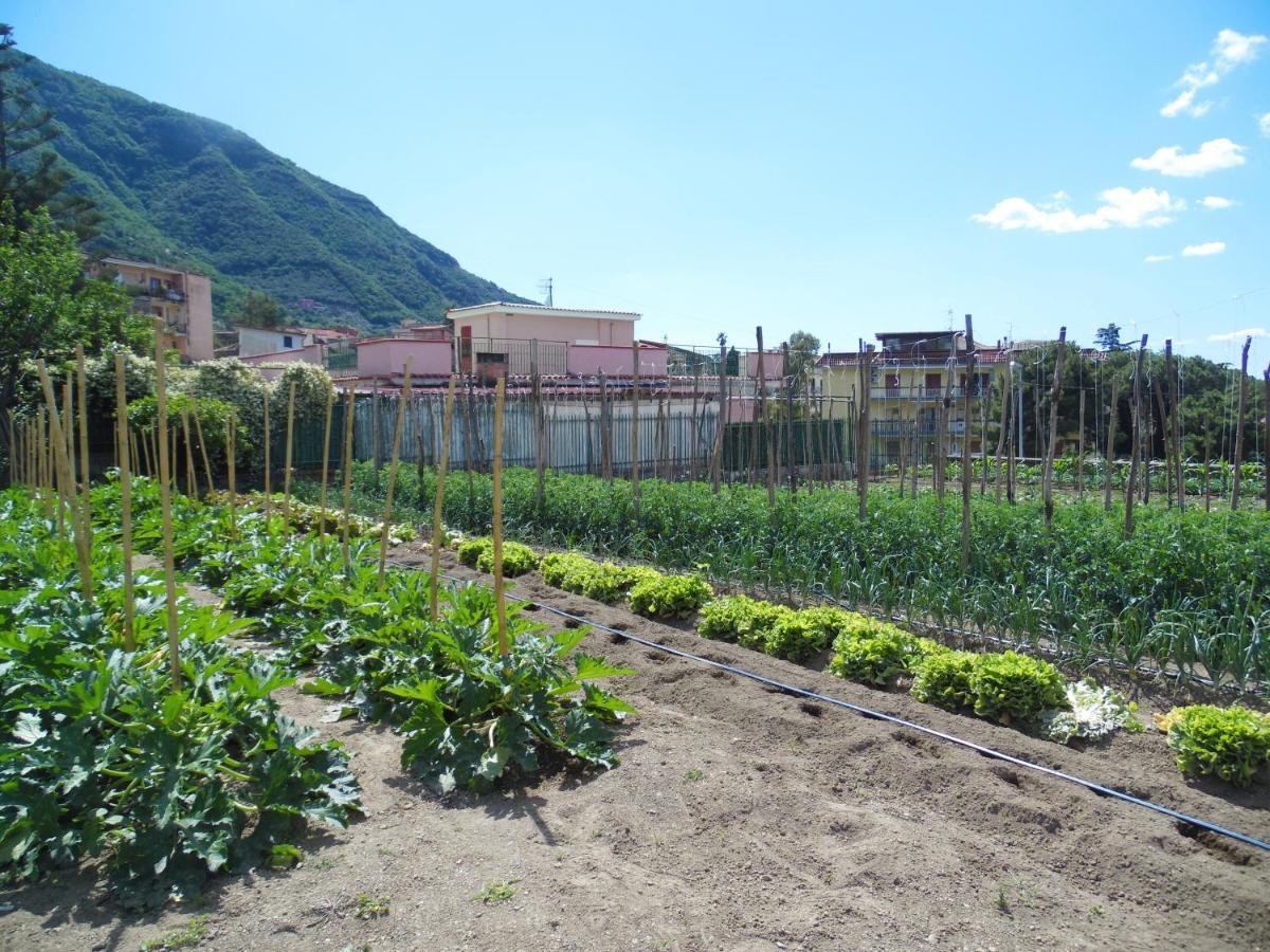 Villa Bianca Castellammare di Stabia Exteriör bild