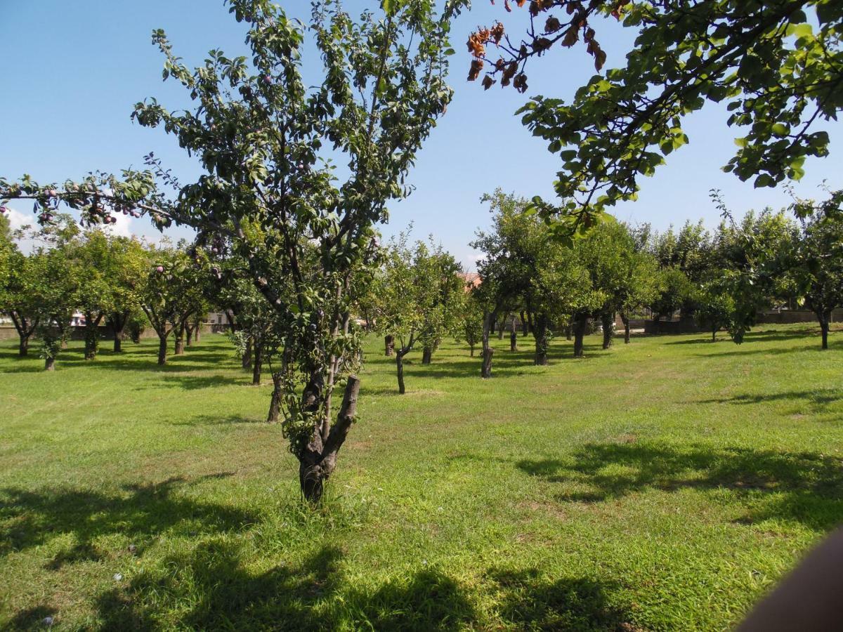 Villa Bianca Castellammare di Stabia Exteriör bild